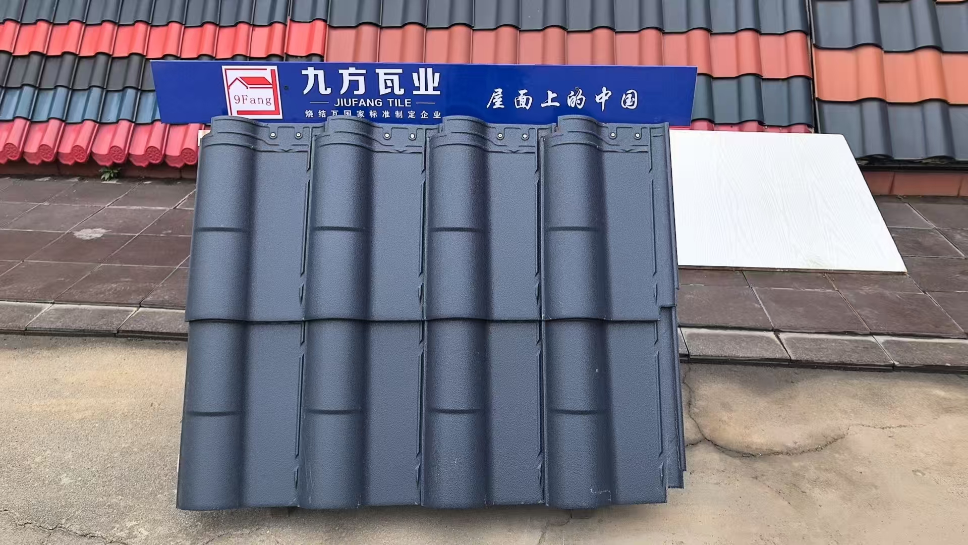 大发welcome摘要2025第11期
